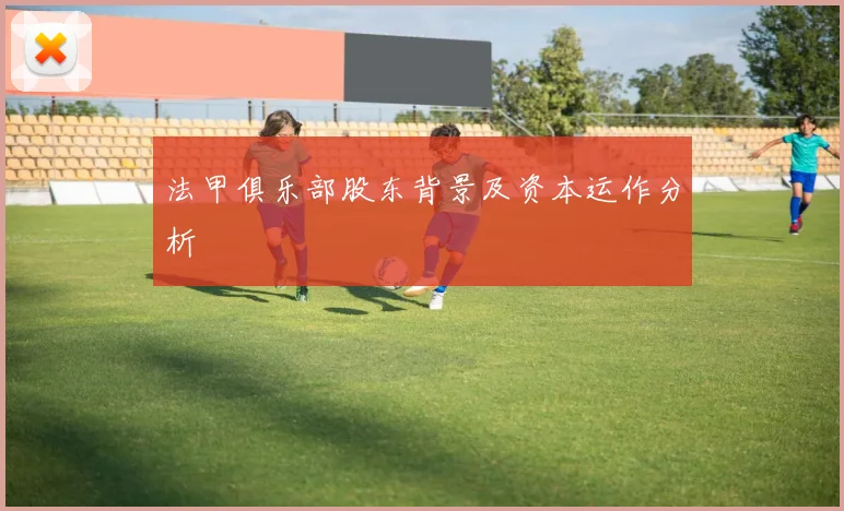 法甲俱乐部股东背景及资本运作分析
