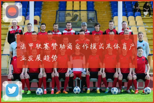 法甲联赛赞助商合作模式及体育产业发展趋势