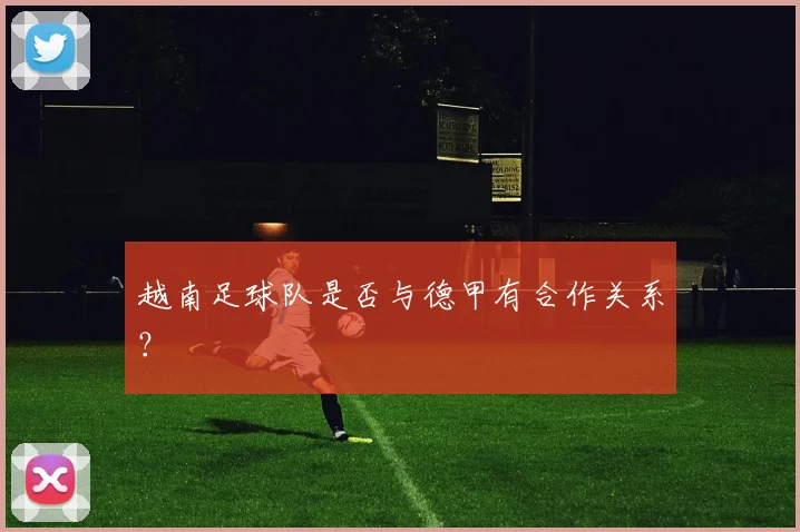 越南足球队是否与德甲有合作关系？