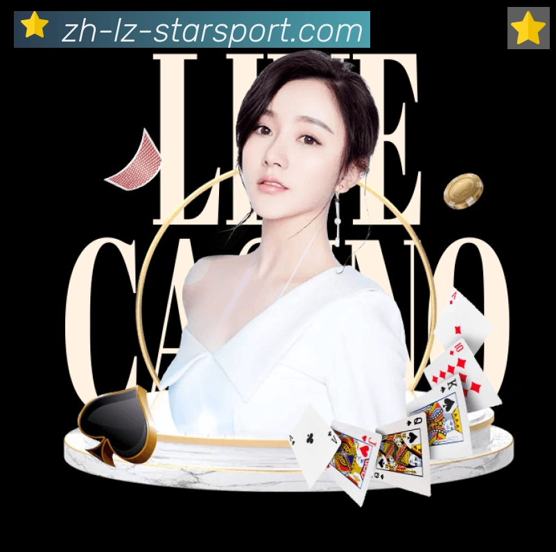 未来规划
