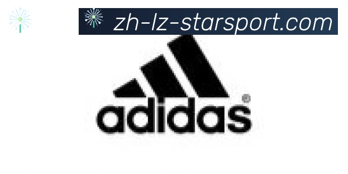 星空体育app合作伙伴