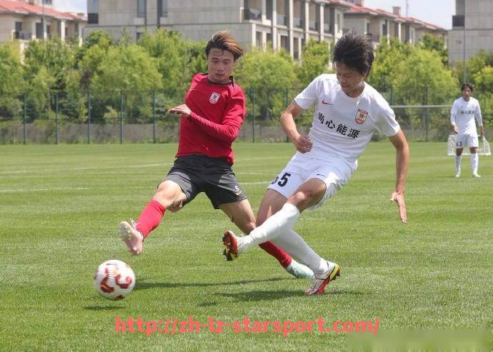 星空体育app-法甲外援适应性深度分析及未来发展趋势